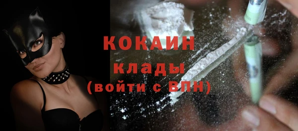 ПСИЛОЦИБИНОВЫЕ ГРИБЫ Вязьма