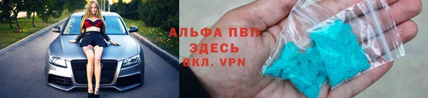 ПСИЛОЦИБИНОВЫЕ ГРИБЫ Вязьма