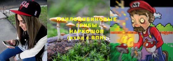 ПСИЛОЦИБИНОВЫЕ ГРИБЫ Вязьма